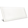 Bissel White gloss 10x20 Mainzu