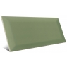 Bissel Olive Green gloss 10x20 Mainzu