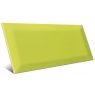 Bissel Yellow Green gloss 10x20 Mainzu