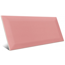 Bissel rosa brillo 10x20 cm (caja 1 m2)
