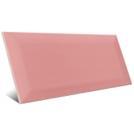 Bissel rosa brillo 10x20 Mainzu