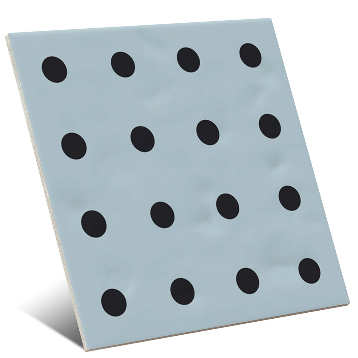 Photo by Chaya Celeste 20x20