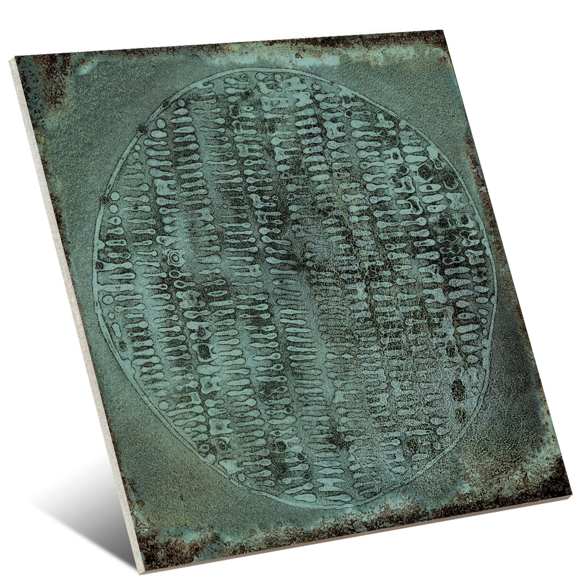 Photo by Carlo Jade 20x20