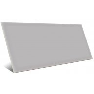 Corso Gris 10x20 - Vives
