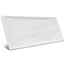 Coating with Vives decorations - Viet White 10x20
