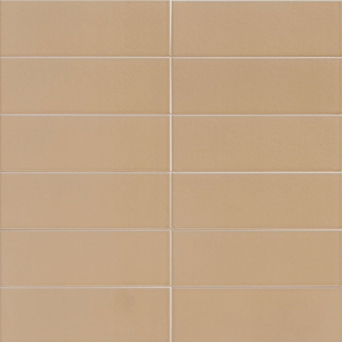 Terre de la jungle 10x30