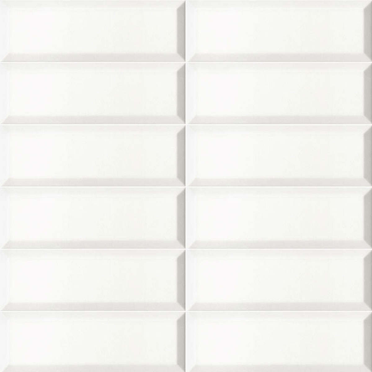 Photo de Bissel Blanc mat 10x30