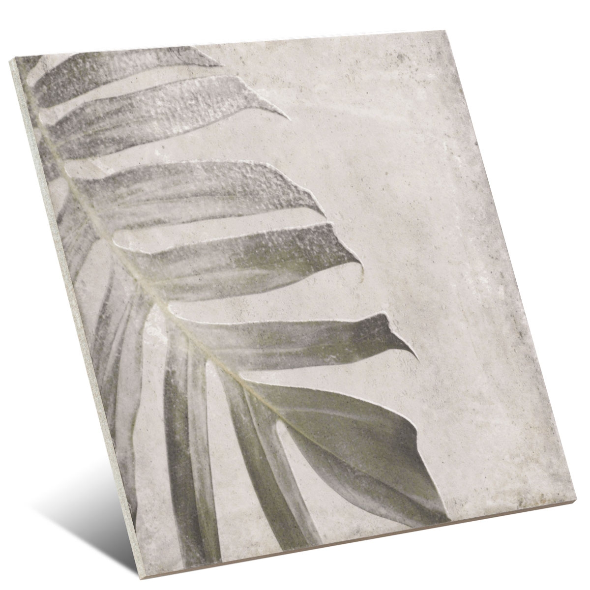 Foto tirada por Tahiti White 20x20