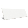 Jungle White 10x30 - Mainzu