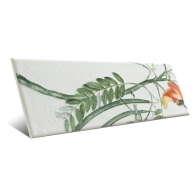 Tapis Eden 10x30  - Mainzu