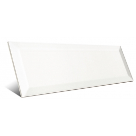 Matte White Bissel 10x30 (box of 1 m2)