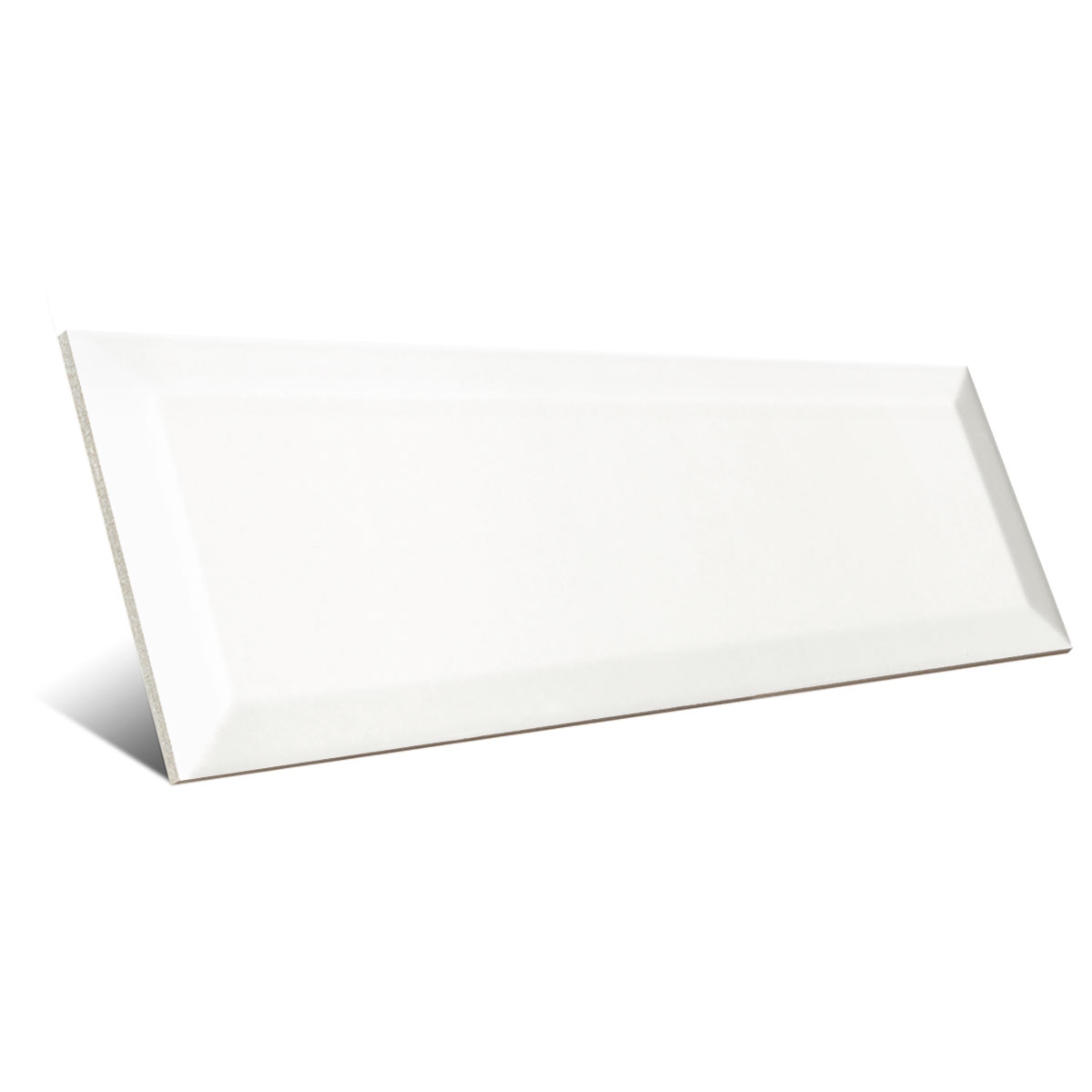 Bissel Blanco Mate 10x30  - Mainzu