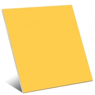 Amarelo arco-íris 15x15
