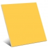 Amarelo arco-íris 15x15