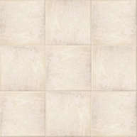 Photo de Bologne Blanc 20x20 (boîte 1 m2)