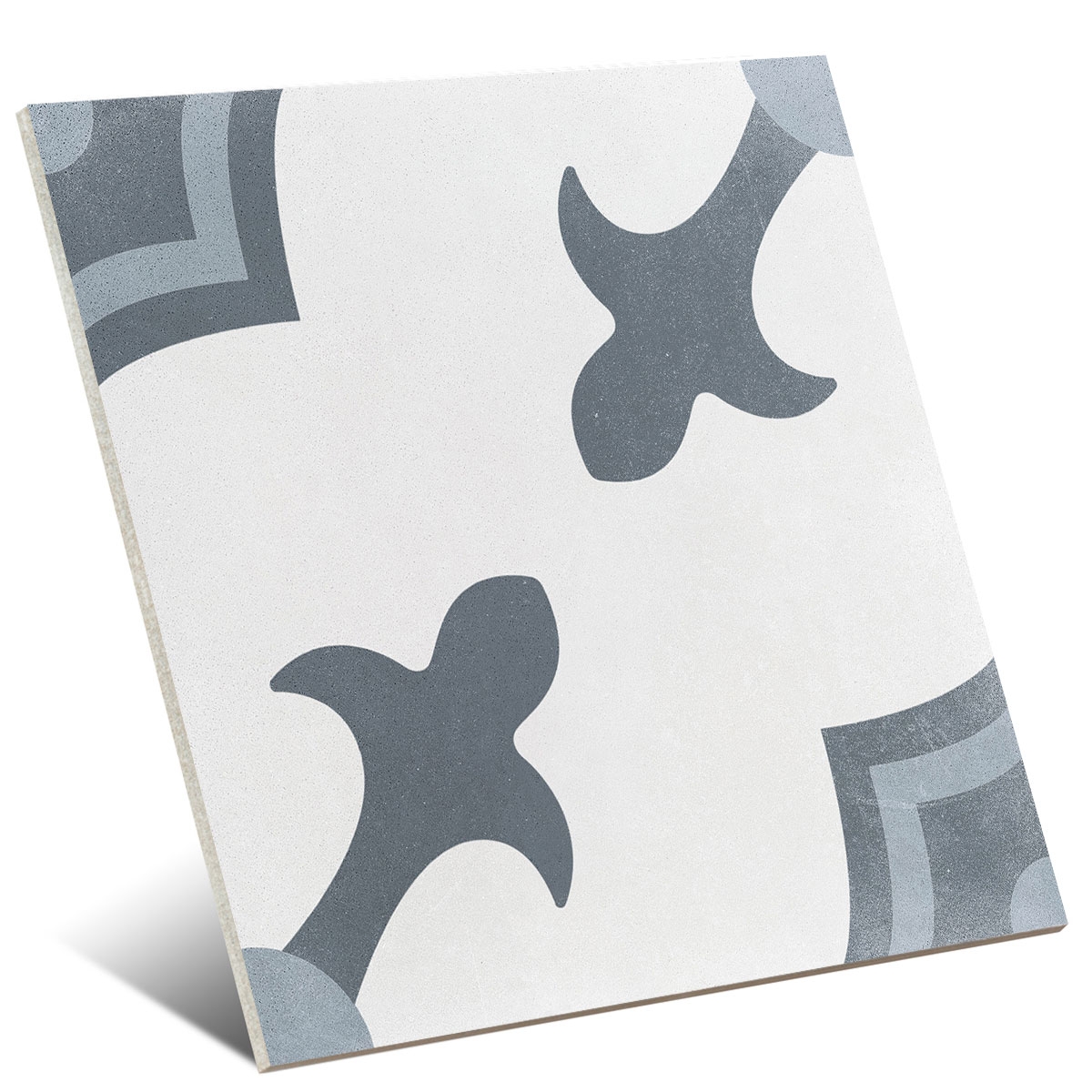 Foto tirada por Havana White Herald 22.3x22.3