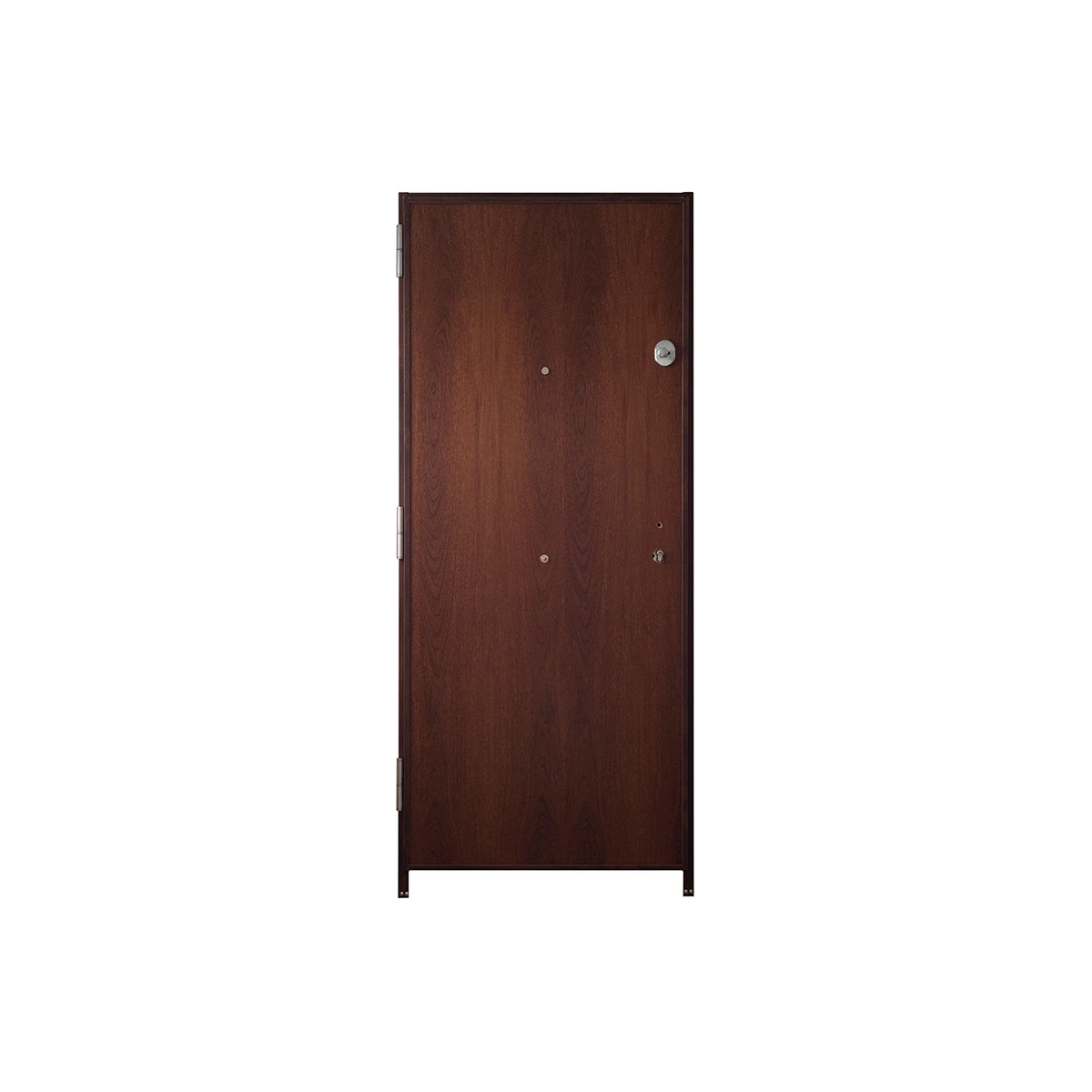 Photo of Armored Door 90cm grade 4 Triana Omega