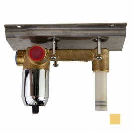 Parede embutida Ramón Soler Xx8712 Ouro escovado emp. Garrafa térmica. 2 vias com caixa