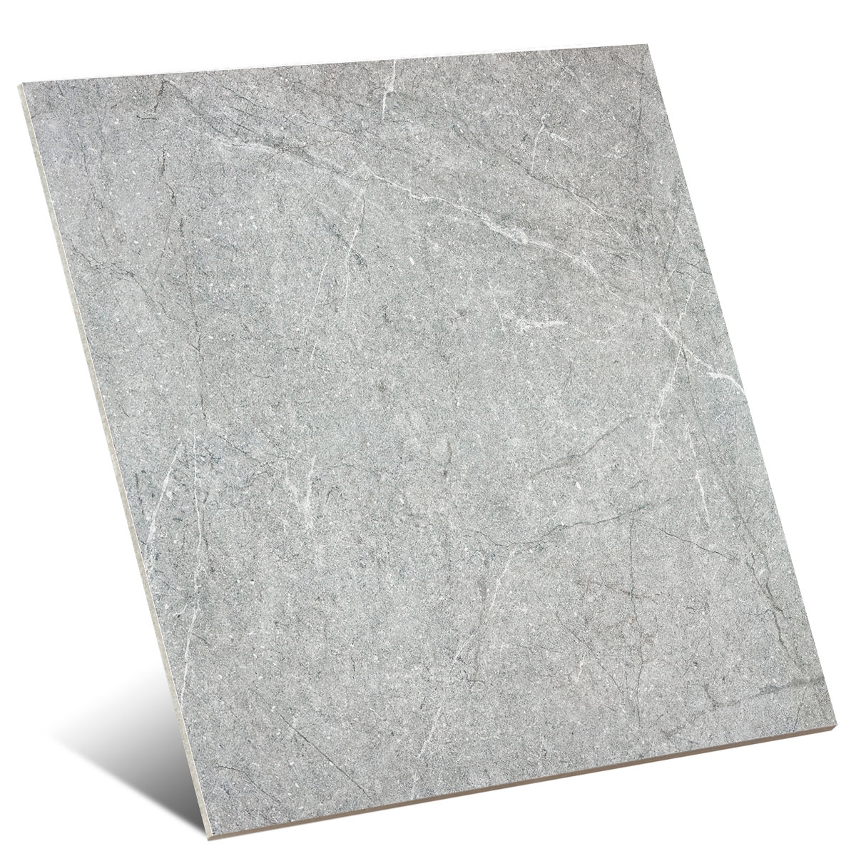 Jasper Grey Antislip 100x100