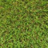 Artificial grass 20mm (m2)
