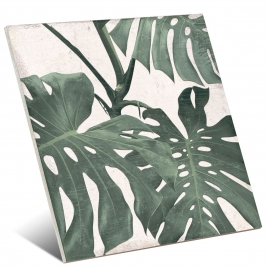 Source botanique 25x25 Décoration (1 m2)