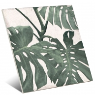 Source botanique 25x25 (1 m2) design 1