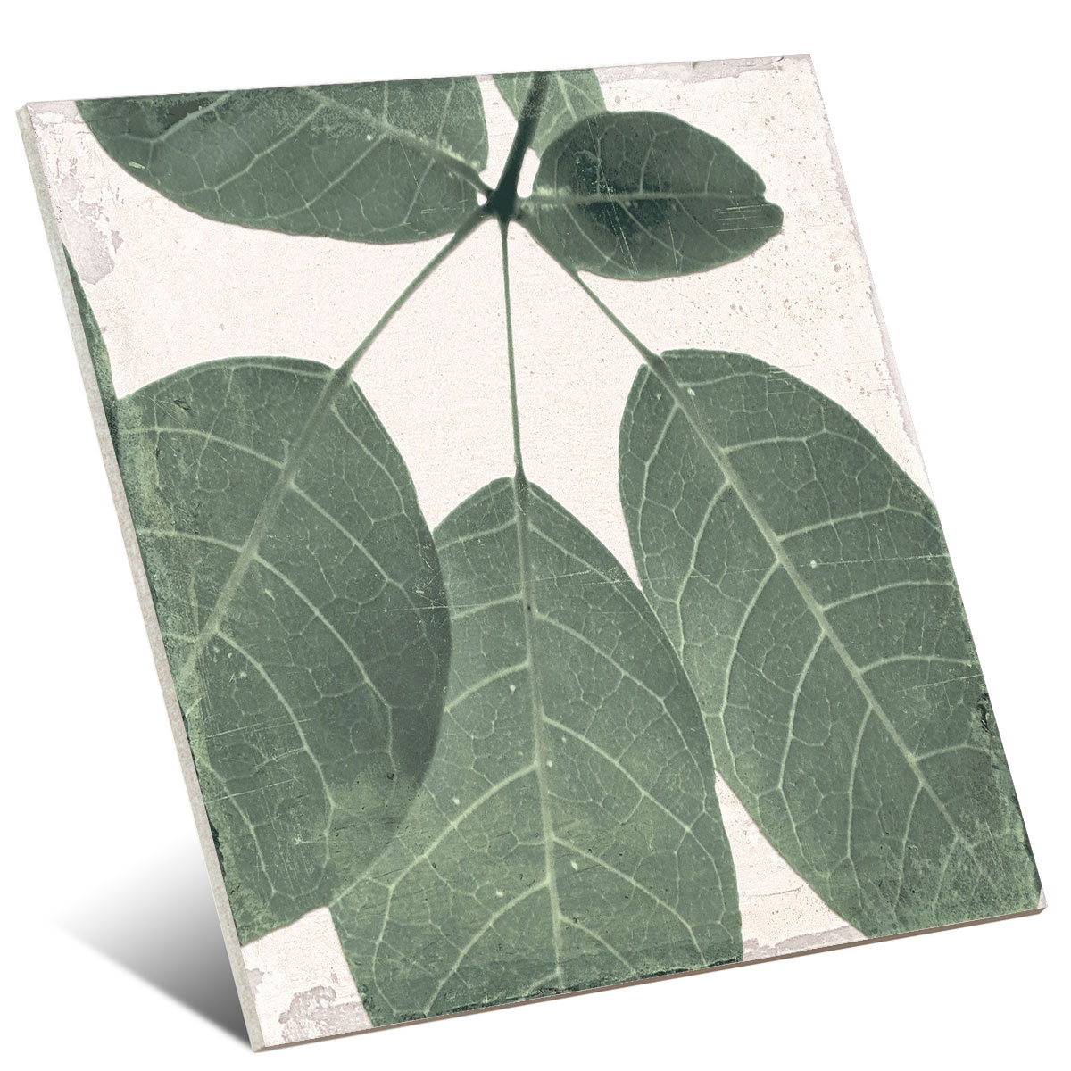 Source botanique 25x25 (1 m2) design 2