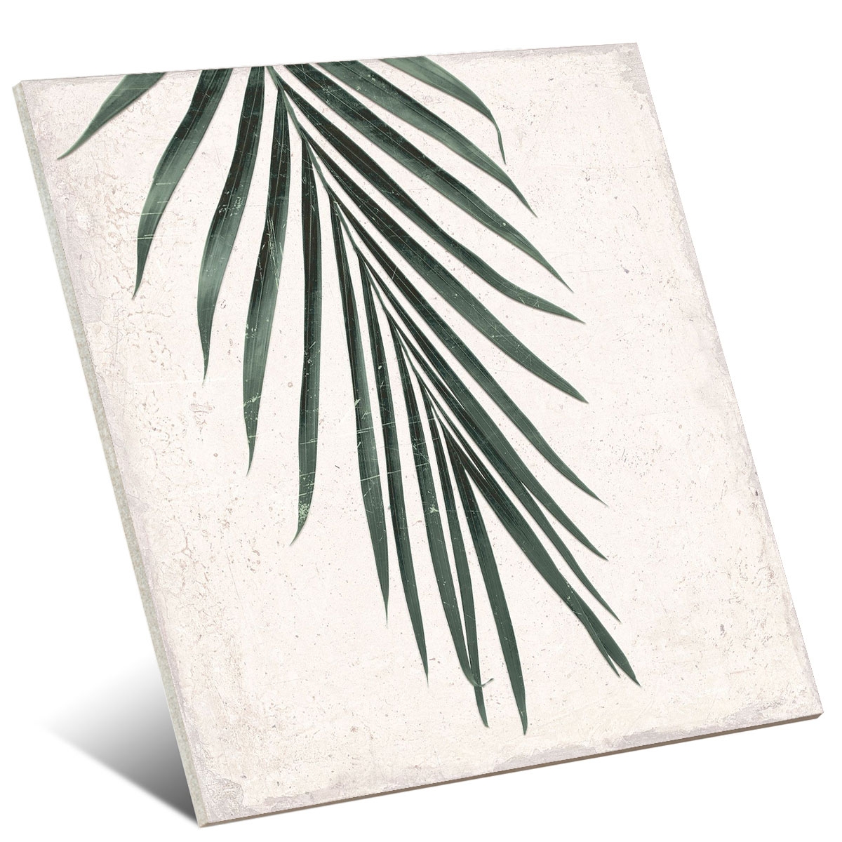 Source botanique 25x25 (1 m2) design 5