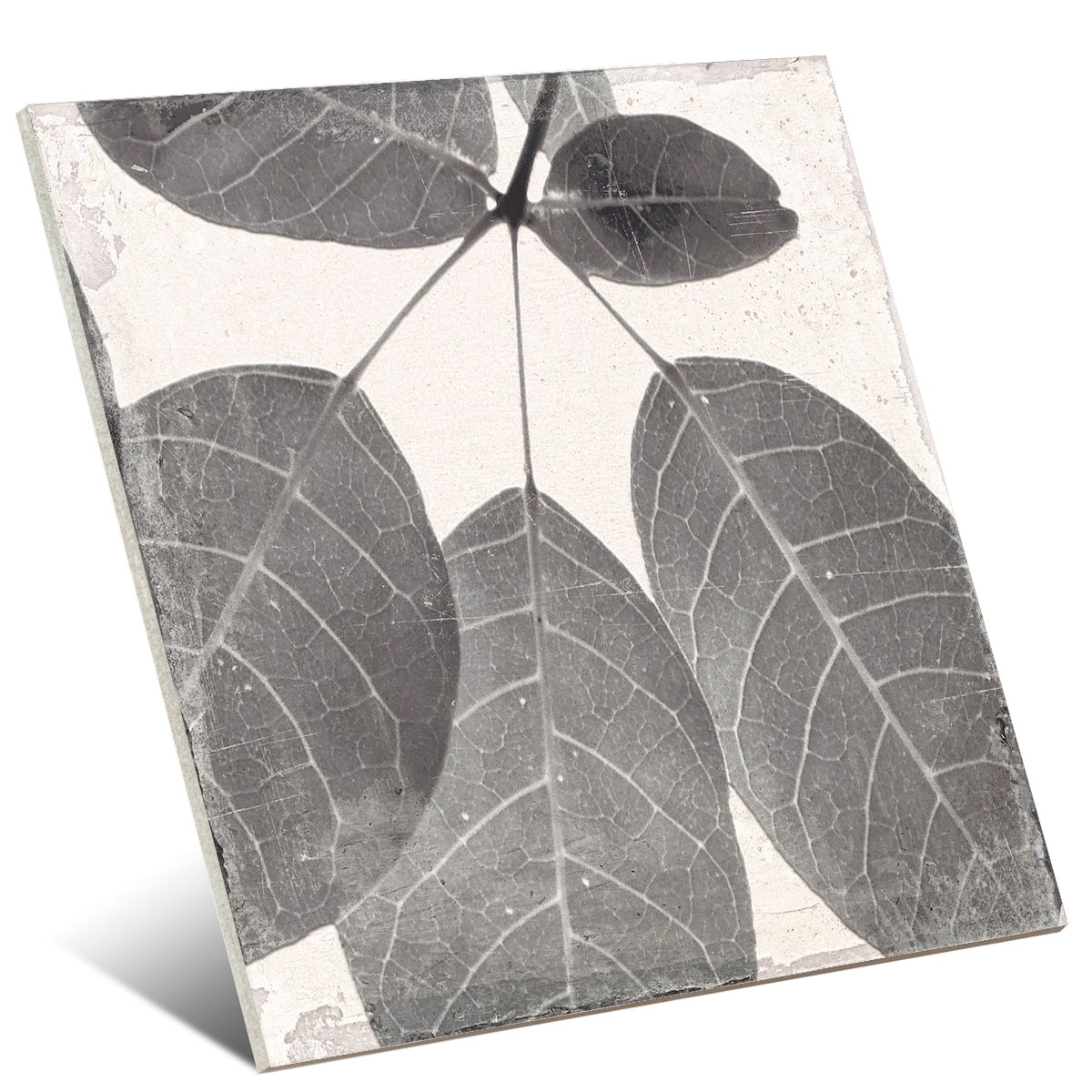 Botanic Winter Decoration 25x25 (1 m2) design 3