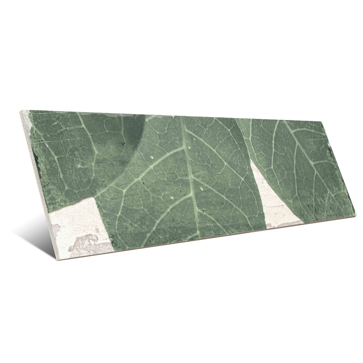 Source botanique 8x25 (1 m2) design 2