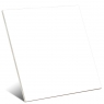 Element White Block 5x5 (UD)