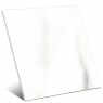 Element Terni White Block 5x5 (ud)