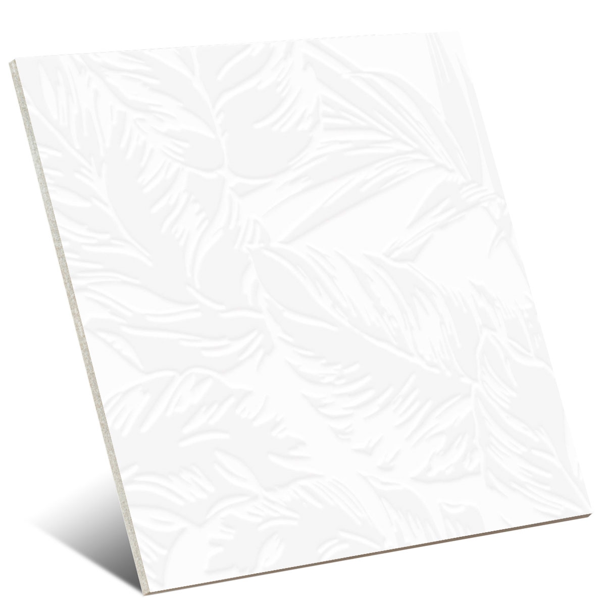 Botanic Essence 25x25