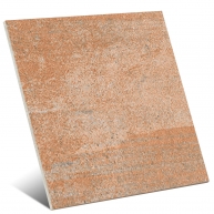 Heredad Aveia Taco 5x5 (ud)