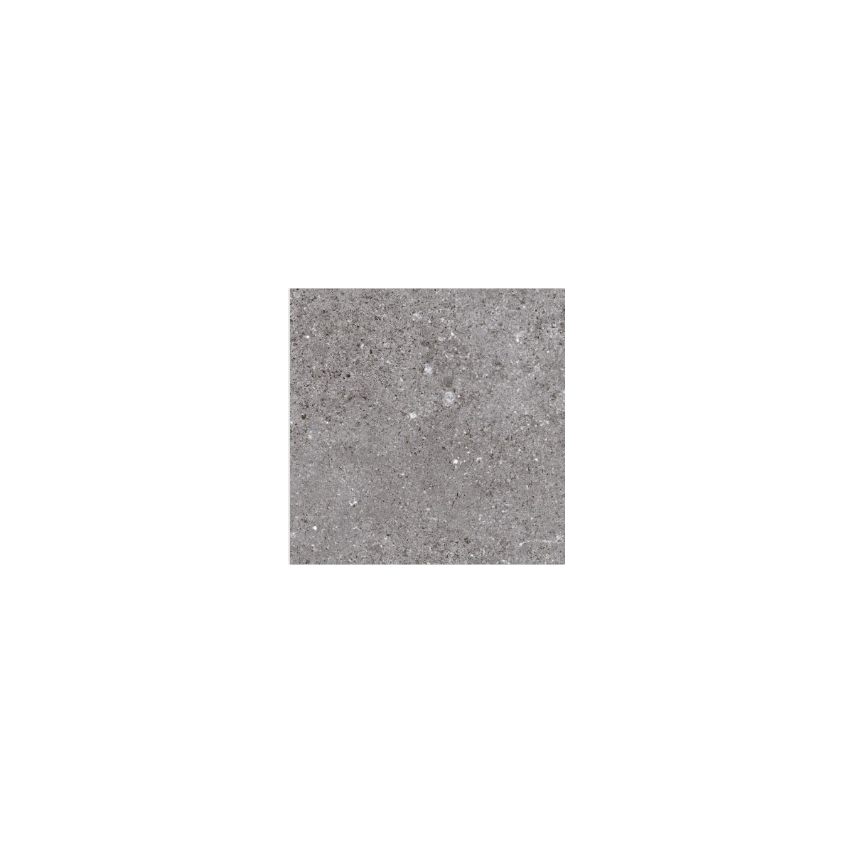 Nassau Graphite Tiles 20x20 (m2) zum besten Preis