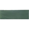 Tabarca Vert 7.5x23 Echantillon brillant 3