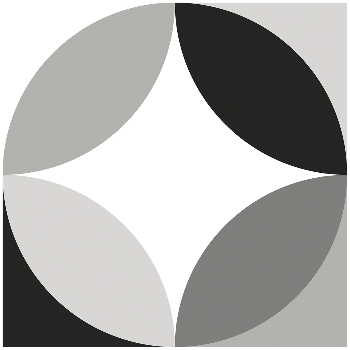 Foto de Circular Black&White 20x20 (Caja 0,56 m2)