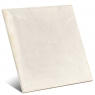 Photo of White Terracotta 20x20 (Box 0.56 m2)
