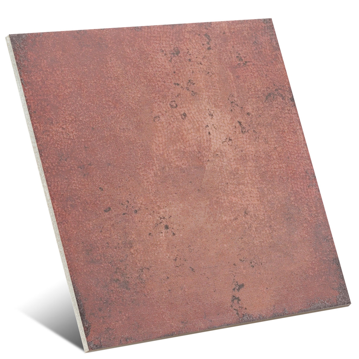 Bottega Terra 20x20 (m2) 1