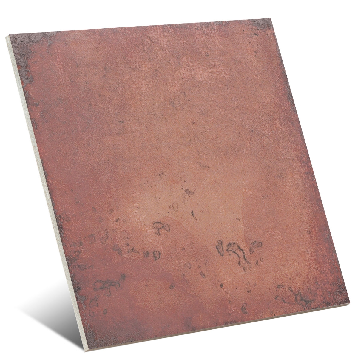 Bottega Terra 20x20 (m2) 4