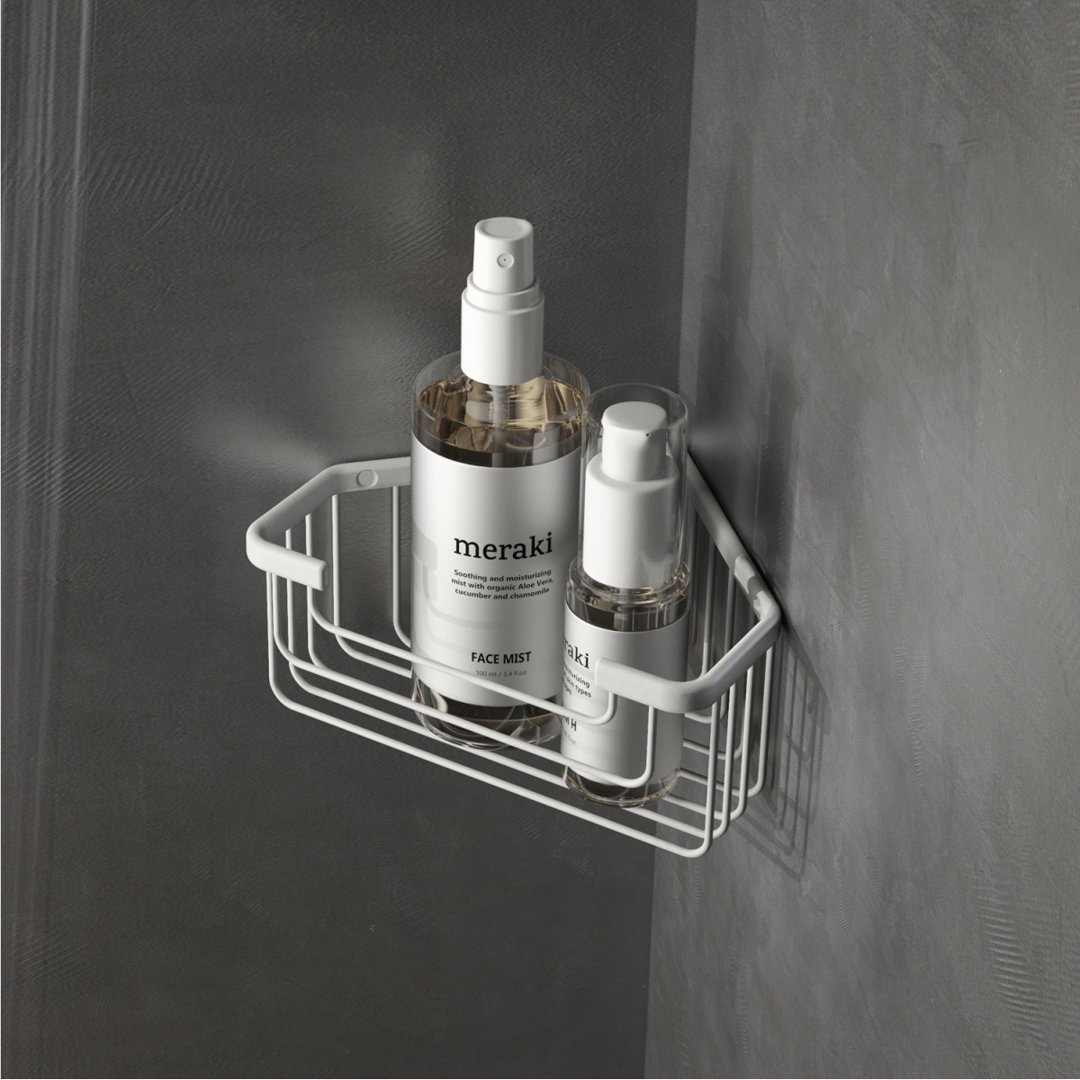 Foto der Weißwinkel-Rutsche