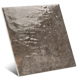 Terra Oceânica 20x20 (m2)