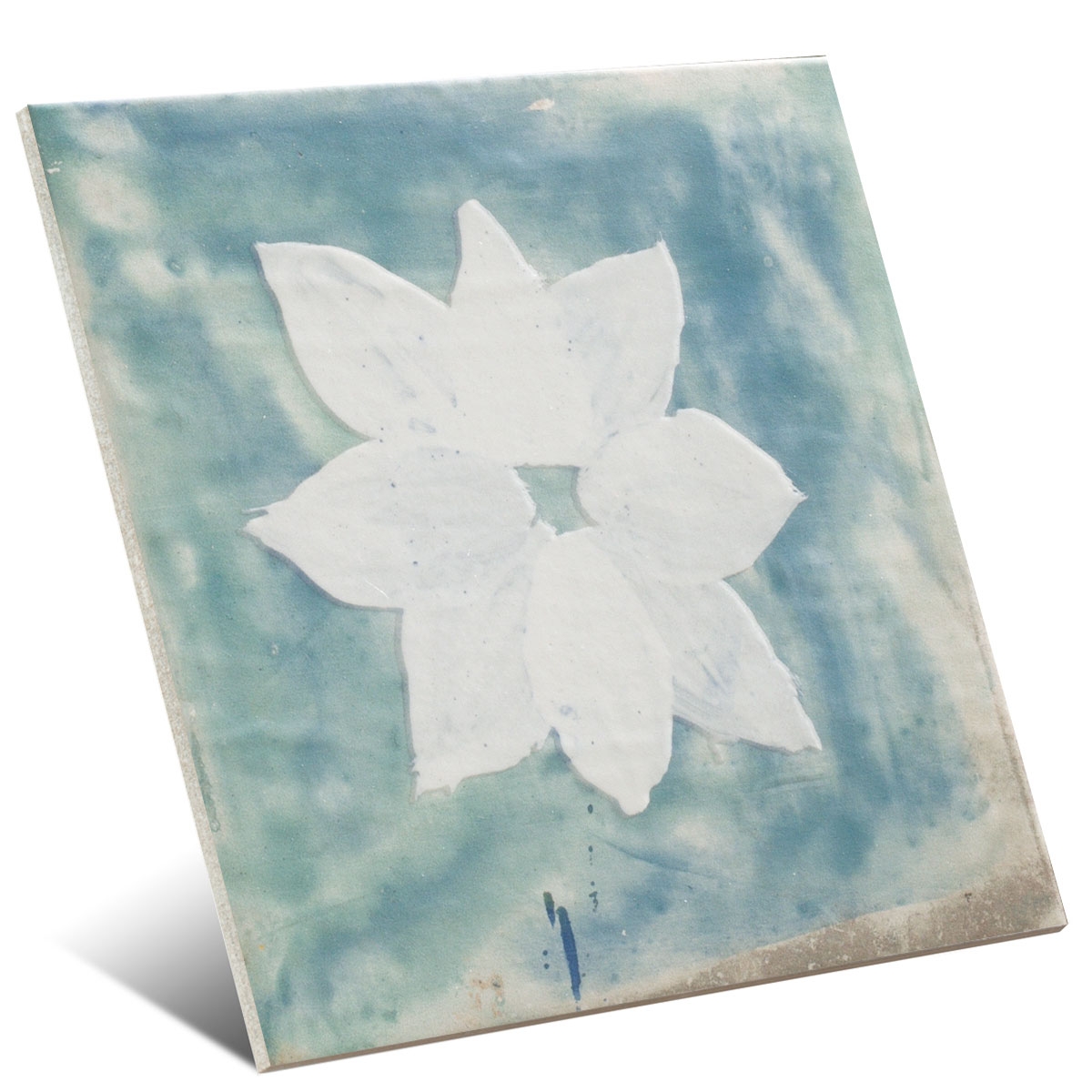 Portofino 20x20 (m2) 4