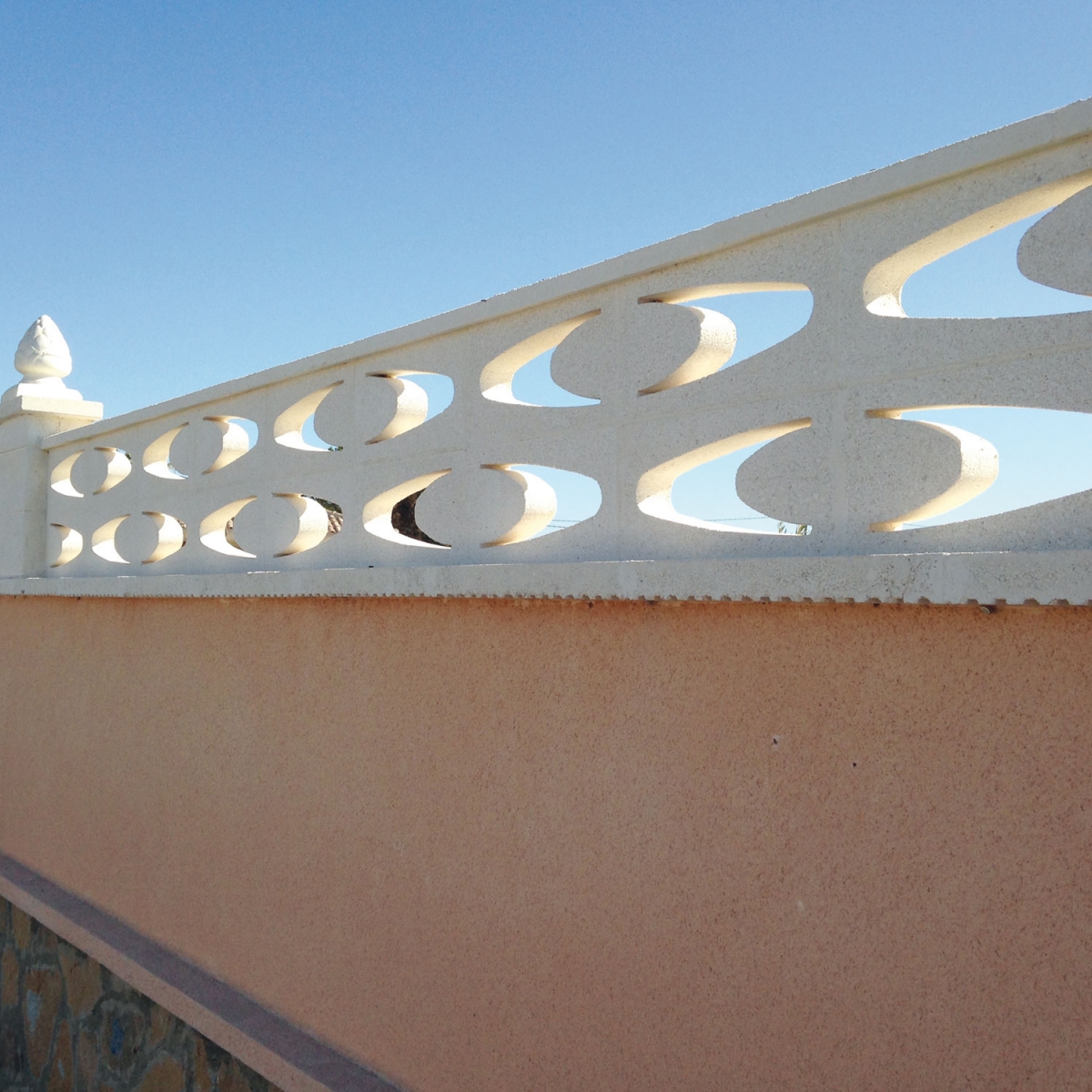 Célosie-Vinalopo-verniprens-3