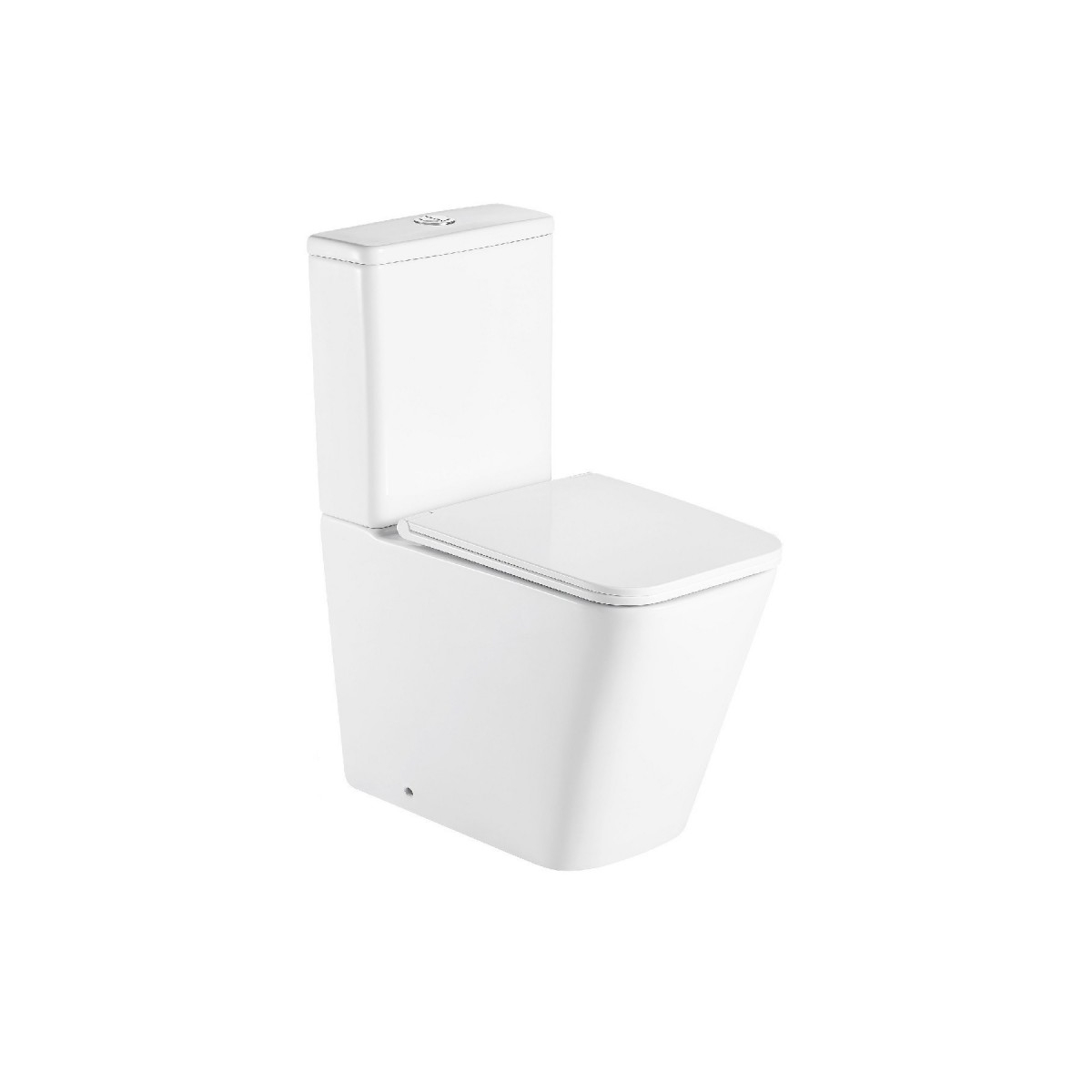 WC-BTW-Pisa-Compacto-completo