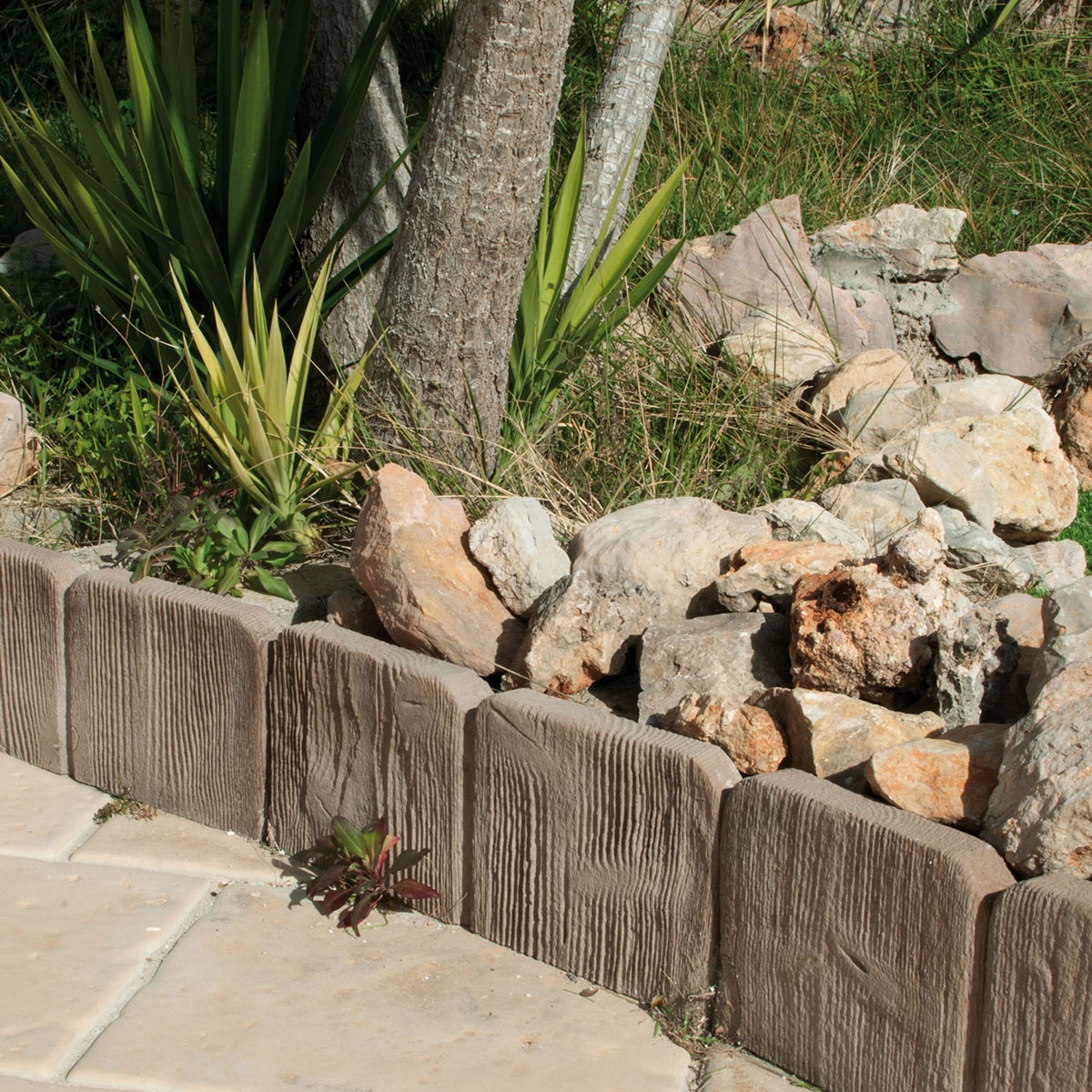 Curb-Forest-Verniprens-4