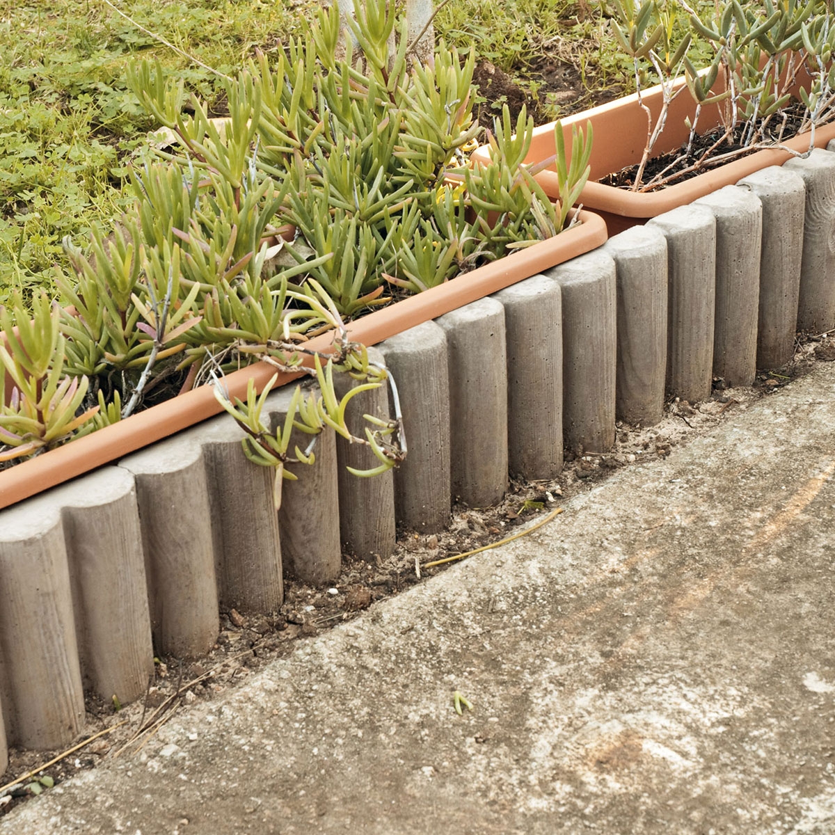 AMB-Curb-Brazil-Verniprens