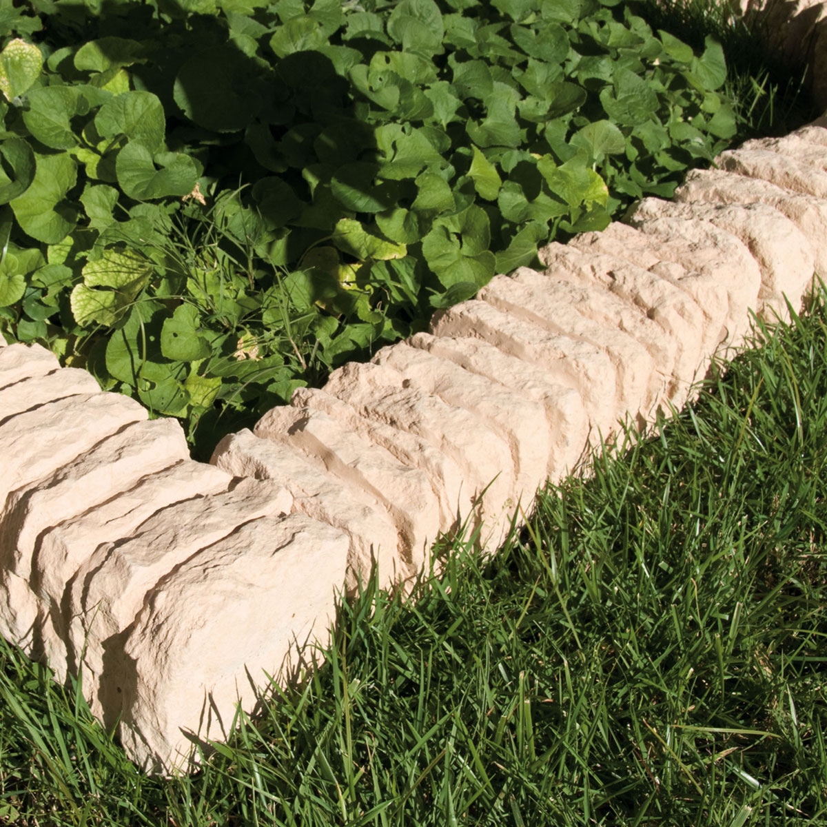 Amb-Curb-Himalaia-Verniprens