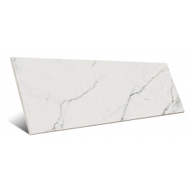 Foto de Erdek-R Gloss 32x99 cm (caixa 1,27 m2)