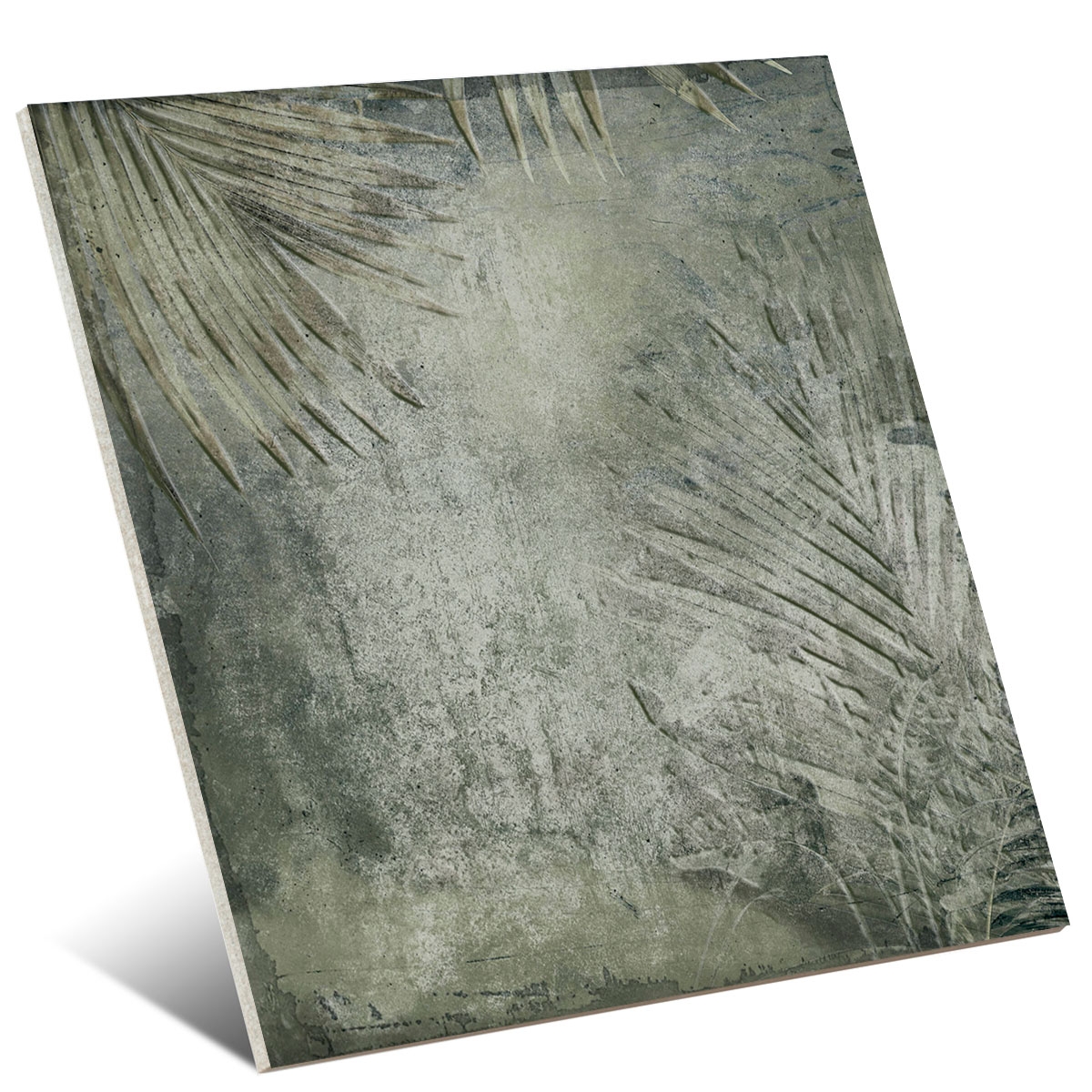 Amazonia 25x25 (Box 1m²) 1